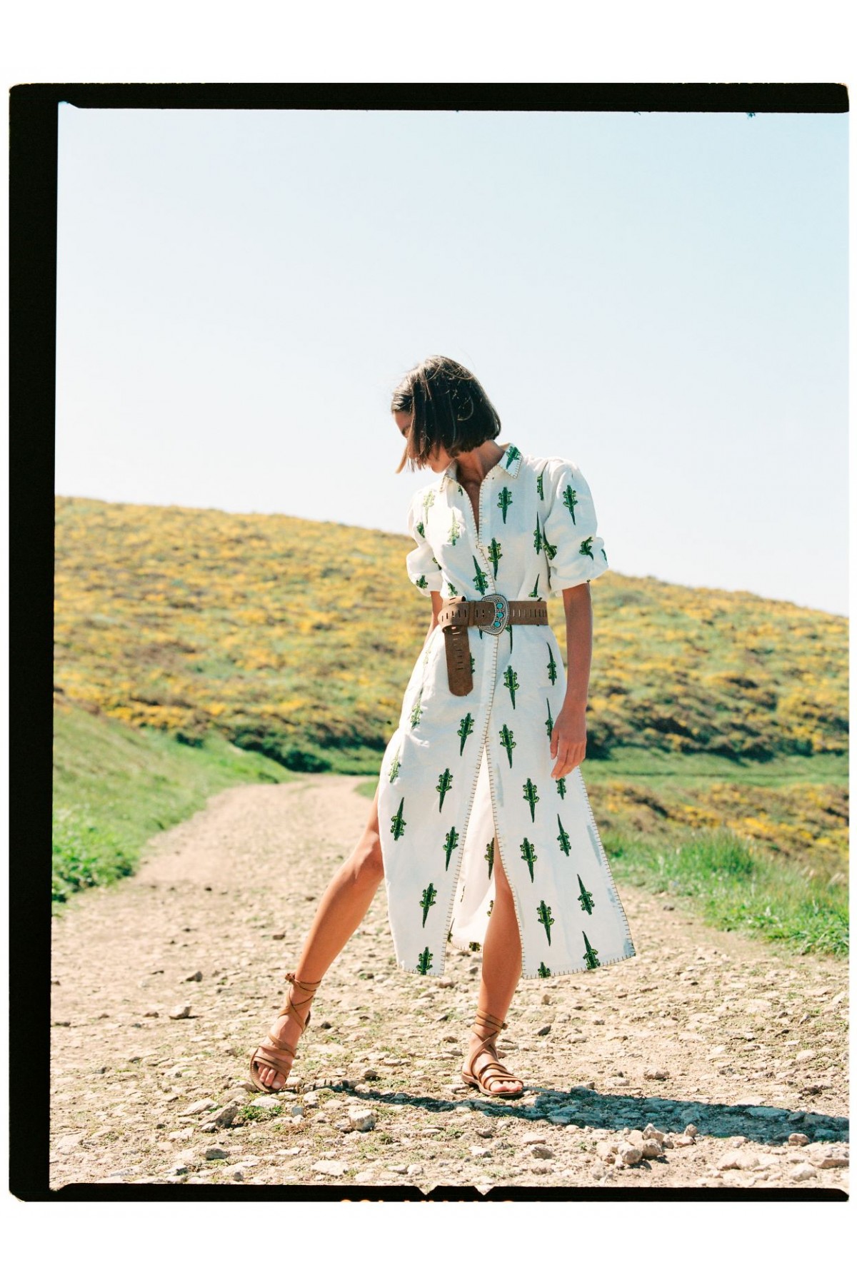 DRESS LINEN COCONUTS · FLAX